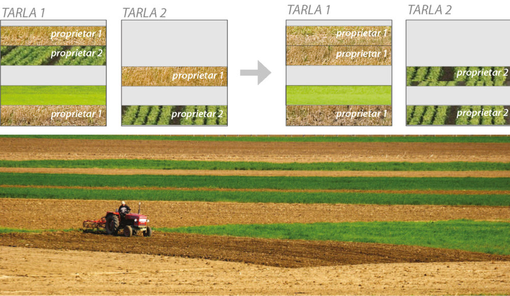 Improving land management in Romania - Eurodite