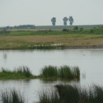 Flood plain Restoration Danube